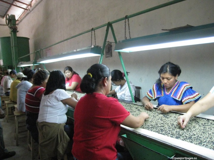 Cafe-Ruiz-Coffee-tour-Panama-Boquete