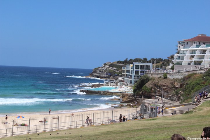 grassy-area-Bondi-Beach-Sydney-travel-blog-passportpages