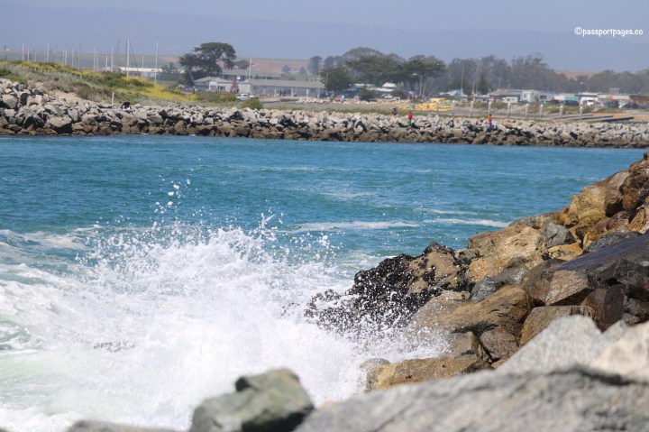 Moss-Landing-wave-crash.JPG