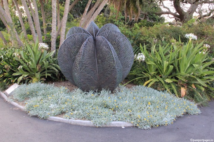 Royal-Botanic-Garden-Sydney-Australia-travel-blog-passportpages
