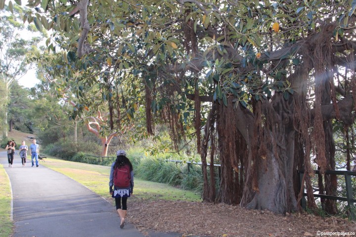 solo-female-backpacker