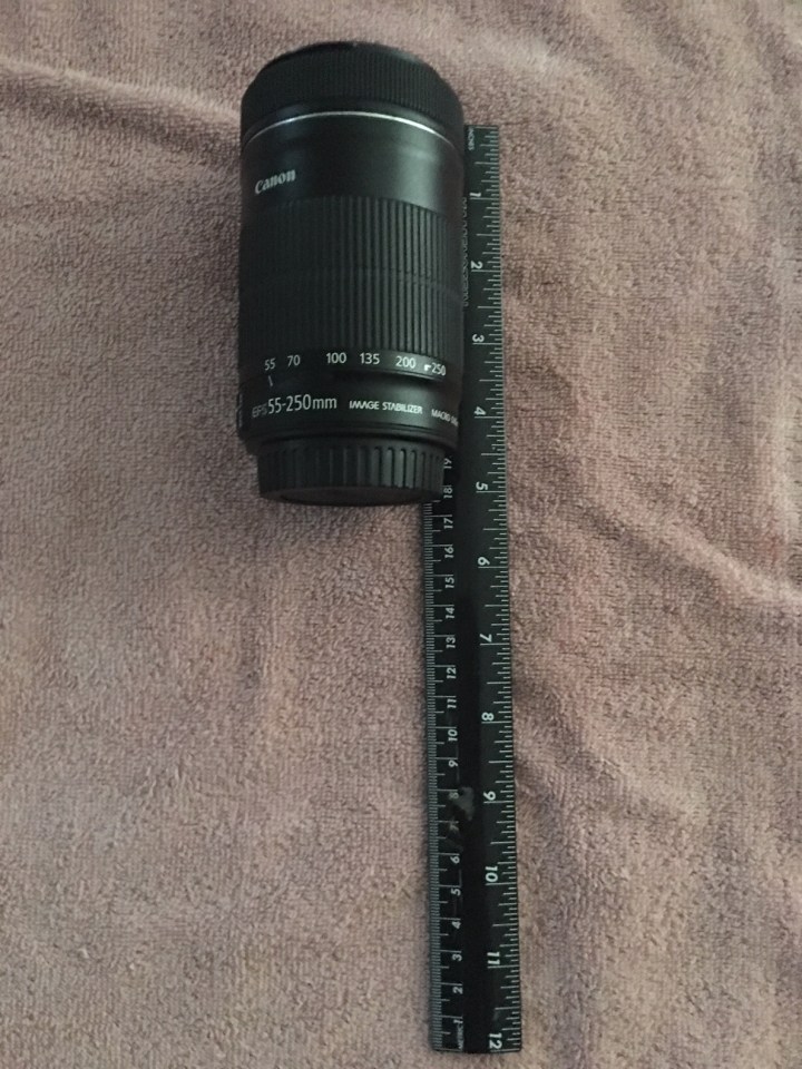 Tamron-DSLR-lens-gorilla-trekking-low-light-zoom-Africa