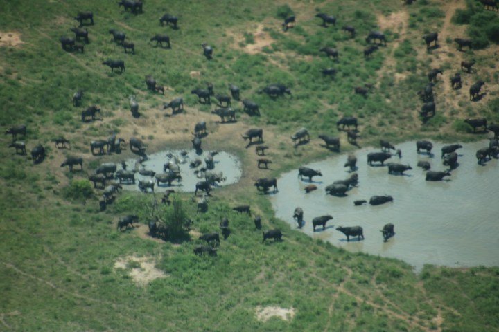 Uganda-safari-Aerolink-flight-plane-view