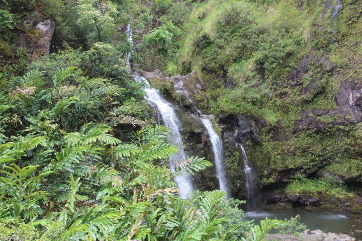 Maui-Hawaii-vacation-holiday-vegan-vegetarian-condo-Road-Hana-May-waterfall-three-bears.JPG